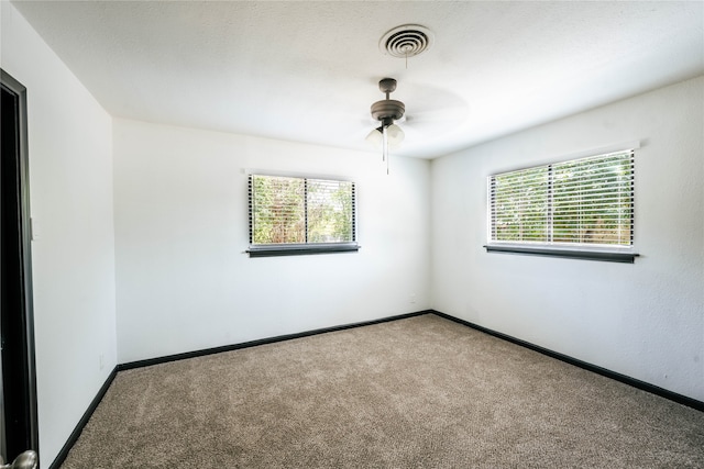 empty room featuring carpet floors