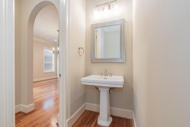 bathroom featuring wood-type flooring