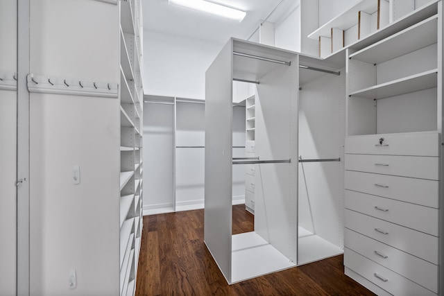 walk in closet with dark hardwood / wood-style floors