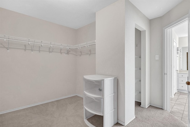 spacious closet featuring light colored carpet