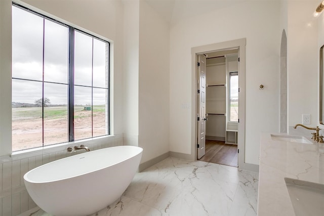 bathroom featuring vanity and a bath