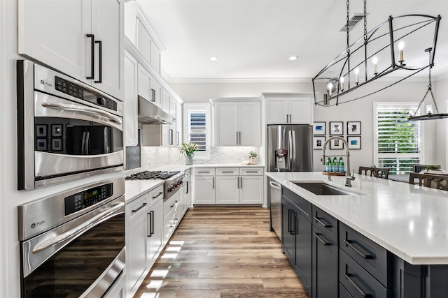 kitchen featuring appliances with stainless steel finishes, light countertops, a sink, and under cabinet range hood