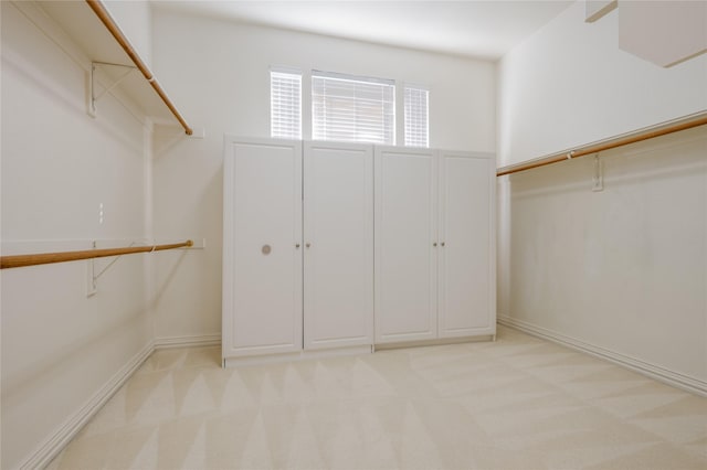 spacious closet with light colored carpet