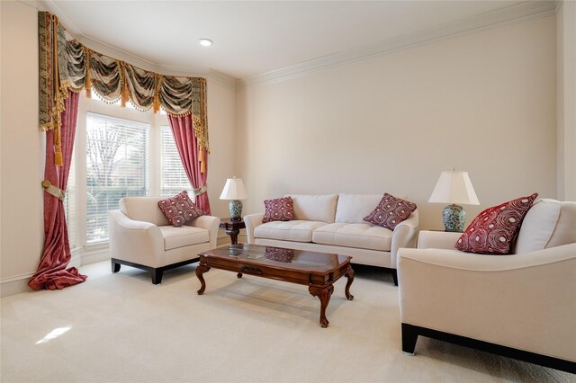 living area featuring carpet floors and crown molding