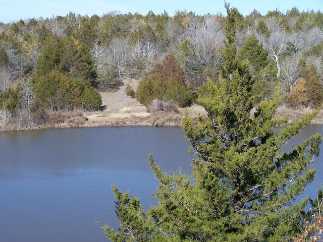 view of water feature featuring a view of trees