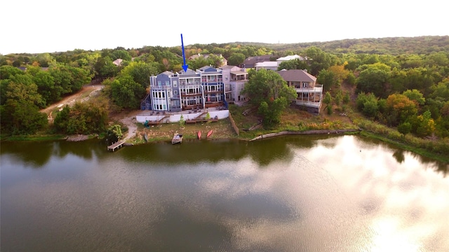 birds eye view of property with a water view and a view of trees