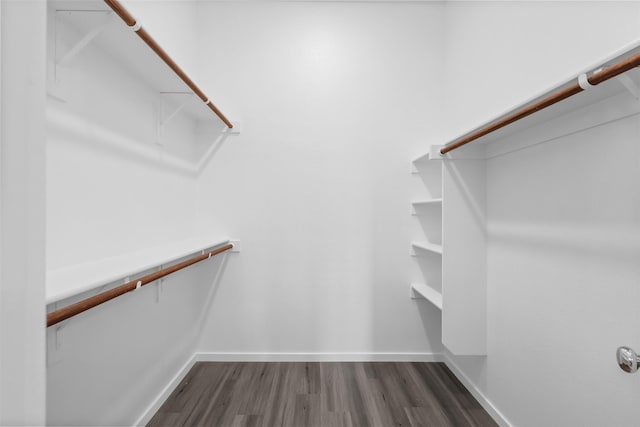 walk in closet featuring dark wood-type flooring