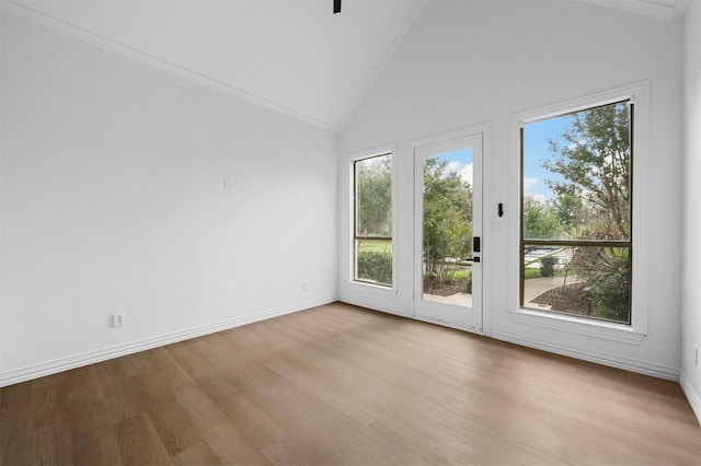 interior space featuring high vaulted ceiling and light hardwood / wood-style flooring