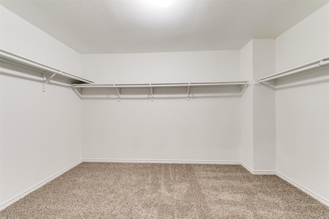 walk in closet featuring carpet