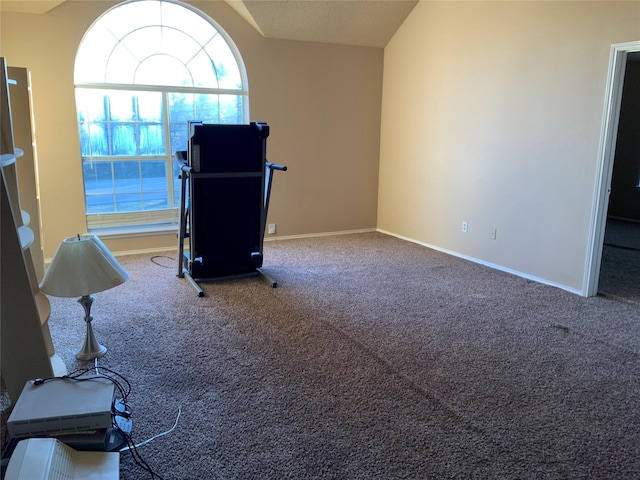 workout area featuring vaulted ceiling and carpet