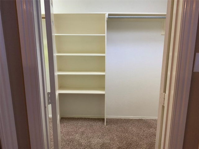 view of closet