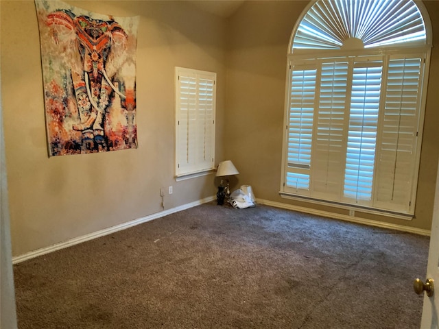 carpeted spare room with plenty of natural light