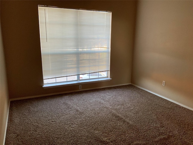 spare room featuring carpet floors