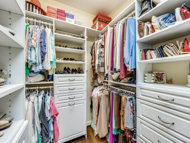 spacious closet with dark hardwood / wood-style floors