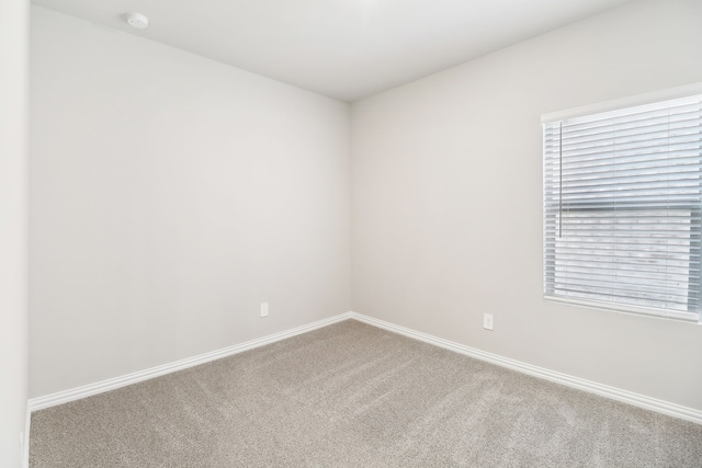 spare room with carpet