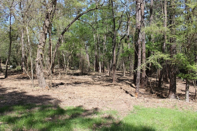 145 Crossed Arrows Rd, Grapeland TX, 75844 land for sale