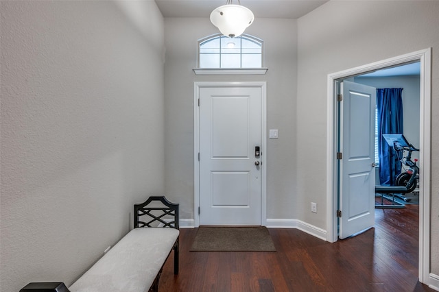 entryway featuring dark hardwood / wood-style flooring