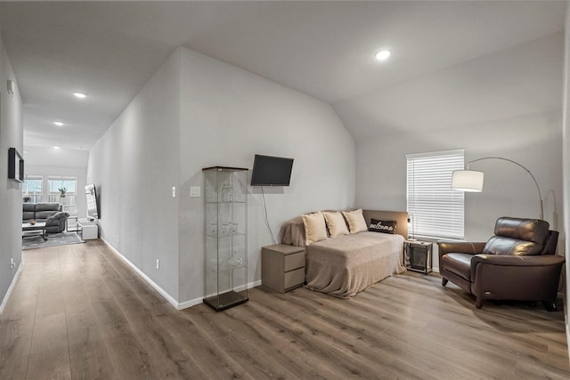 interior space featuring wood-type flooring and vaulted ceiling