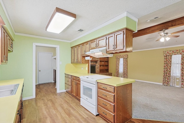 1806 Duck Creek Rd, Sanger, TX 76266 - kitchen with electric stove, light countertops, a peninsula, under cabinet range hood, and visible vents