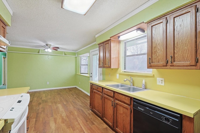 1806 Duck Creek Rd, Sanger, TX 76266 - kitchen with a sink, a textured ceiling, black dishwasher, ceiling fan, and crown molding