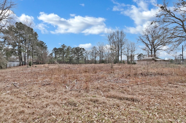 10553 White Oak Dr, Keithville, LA 71047 - view of yard