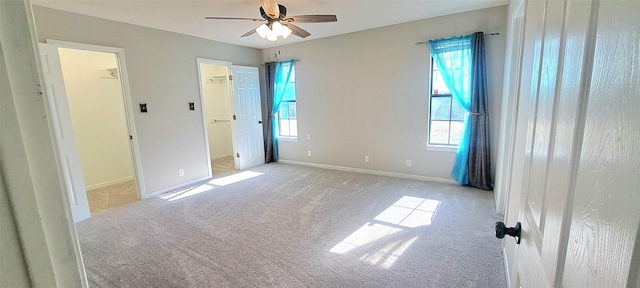 unfurnished bedroom featuring multiple windows, a walk in closet, light colored carpet, and ceiling fan