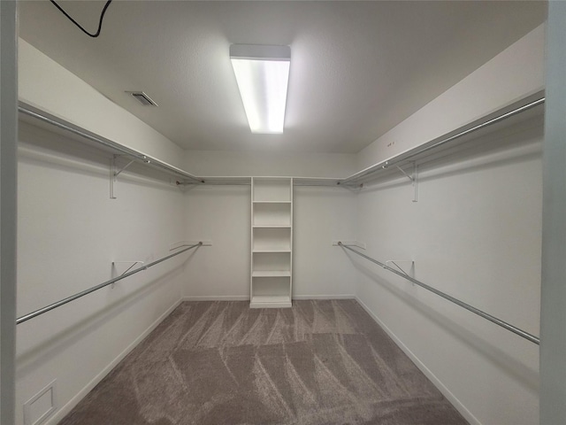 walk in closet featuring carpet floors