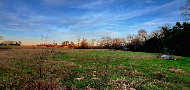 view of yard with a rural view