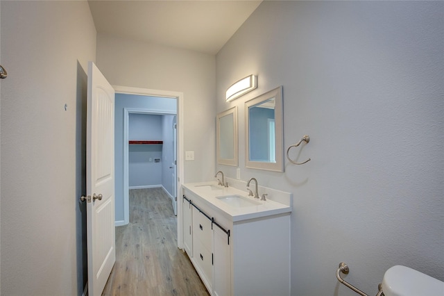 4340 Fm 1563, Wolfe City, TX 75496 - bathroom with toilet, wood finished floors, double vanity, and a sink