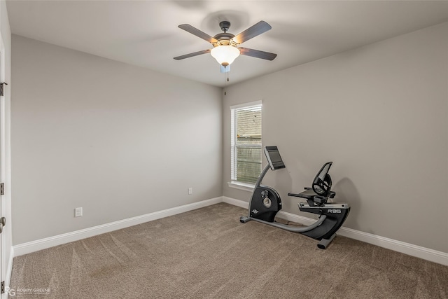 workout room with ceiling fan and carpet flooring