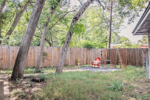 view of yard with a patio