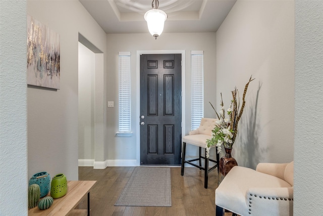 entryway with a raised ceiling and hardwood / wood-style floors