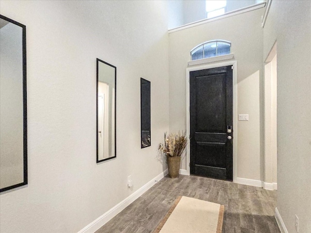 entrance foyer featuring a towering ceiling, baseboards, and wood finished floors