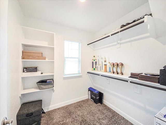 walk in closet featuring carpet