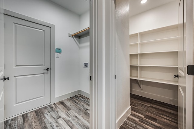 walk in closet featuring dark wood finished floors