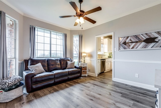 living room with hardwood / wood-style floors, crown molding, sink, and ceiling fan