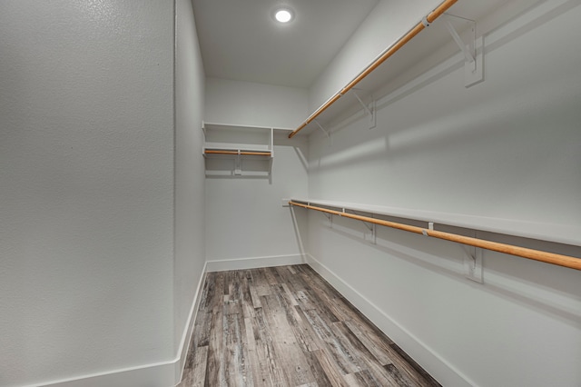 walk in closet with hardwood / wood-style flooring