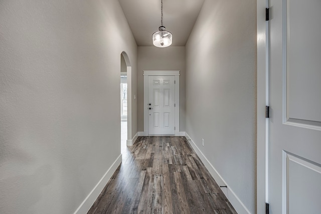 entryway with dark wood-type flooring