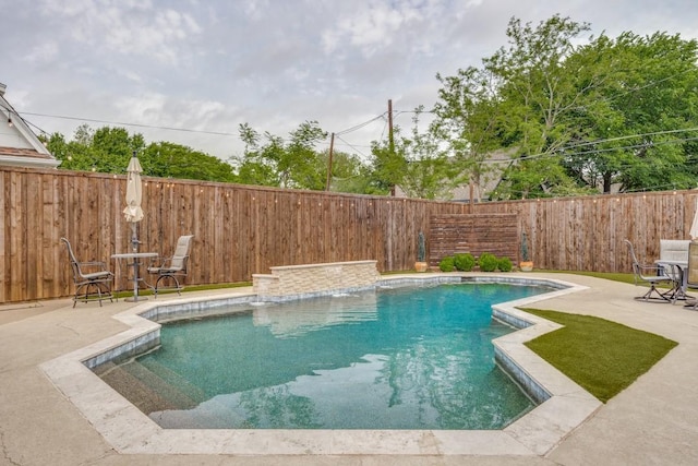 view of pool featuring a fenced in pool, a fenced backyard, and a patio