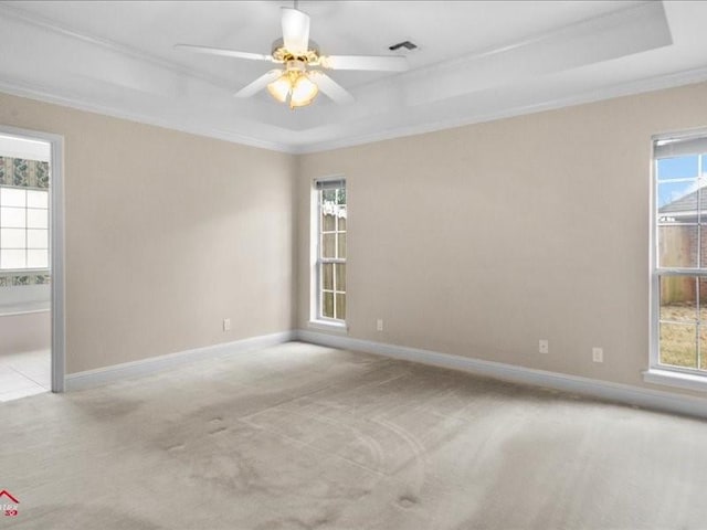 spare room featuring crown molding, light carpet, a wealth of natural light, and a tray ceiling