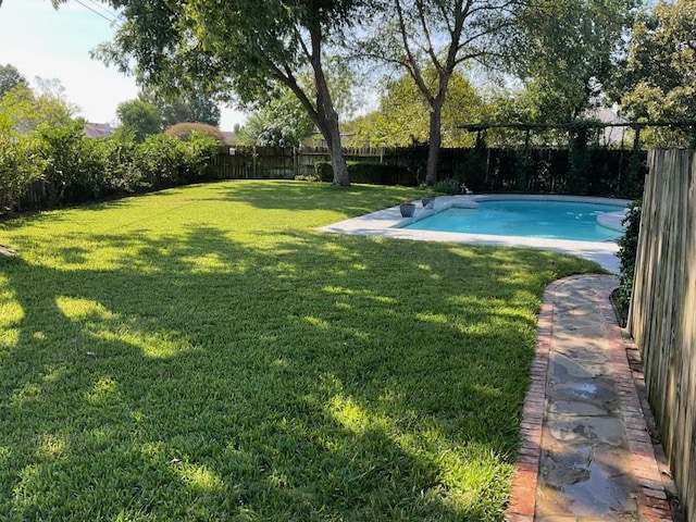 view of swimming pool with a lawn