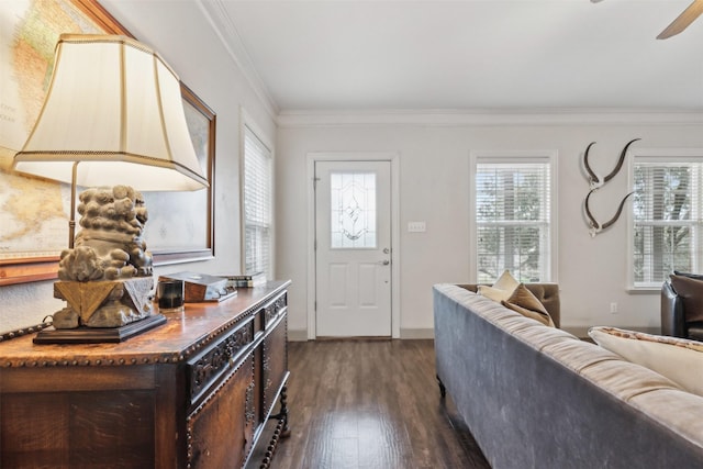 foyer with crown molding, ceiling fan, and dark hardwood / wood-style flooring