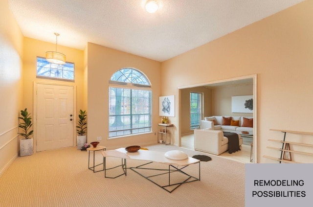 sitting room with carpet floors, plenty of natural light, and a textured ceiling