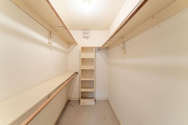 walk in closet with light colored carpet