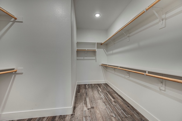 walk in closet with dark wood-type flooring