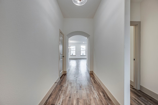 hall with dark wood-type flooring