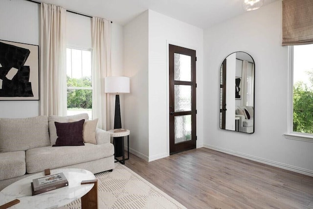 living room featuring hardwood / wood-style floors