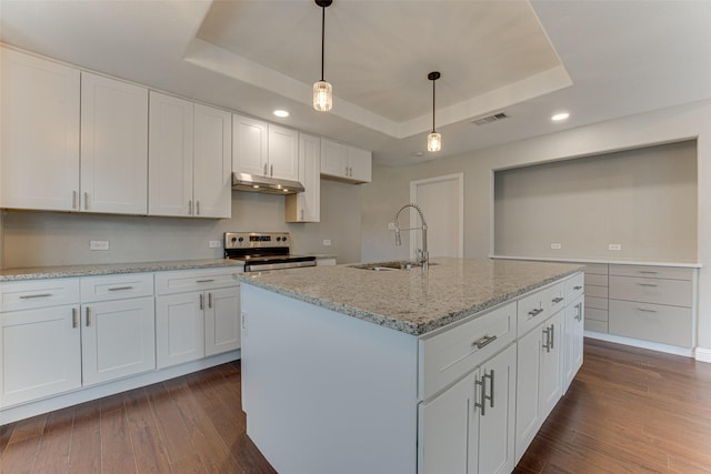 kitchen featuring sink, a tray ceiling, stainless steel range with electric cooktop, and white cabinets