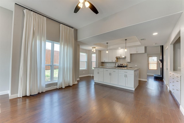 kitchen with white cabinetry, dark hardwood / wood-style floors, a kitchen island, decorative light fixtures, and a raised ceiling