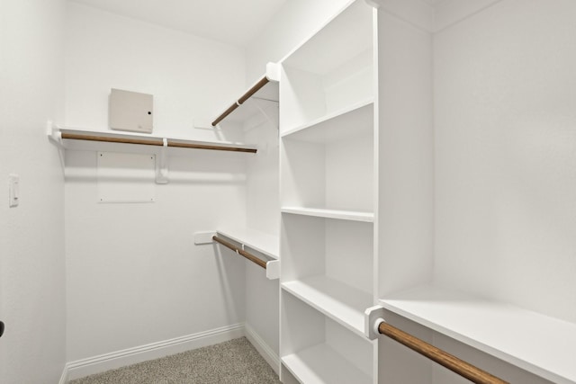 spacious closet with carpet floors